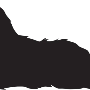 Vsepropejska Sheltie dřevěná dekorace na zeď Rozměr (cm): 19 x 38