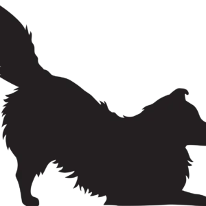 Vsepropejska Sheltie dřevěná dekorace na zeď Rozměr (cm): 26 x 38