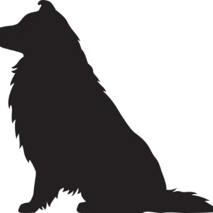 Vsepropejska Sheltie dřevěná dekorace na zeď Rozměr (cm): 35 x 38