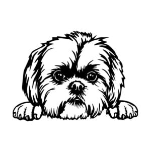 Vsepropejska Shih-tzu 2 dřevěná dekorace na zeď Rozměr (cm): 38 x 28