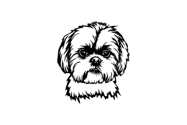 Vsepropejska Shih-tzu 3 dřevěná dekorace na zeď Rozměr (cm): 38 x 34