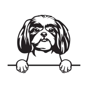 Vsepropejska Shih-tzu 4 dřevěná dekorace na zeď Rozměr (cm): 38 x 30