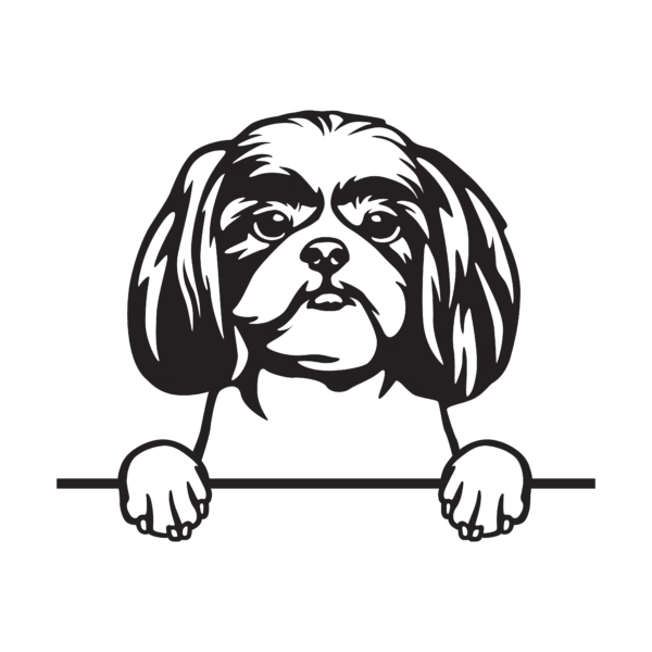Vsepropejska Shih-tzu 4 dřevěná dekorace na zeď Rozměr (cm): 38 x 30