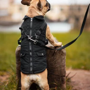 Vsepropejska Tulsi zimní bunda pro psa s postrojem Barva: Černá