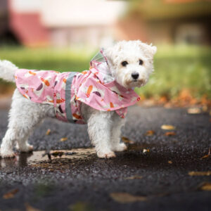 Vsepropejska Zelda pláštěnka pro psa Barva: Růžová