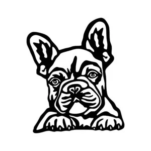 Vsepropejska Francouzský buldoček 13 dřevěná dekorace na zeď Rozměr (cm): 38 x 32