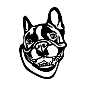 Vsepropejska Francouzský buldoček 15 dřevěná dekorace na zeď Rozměr (cm): 38 x 25