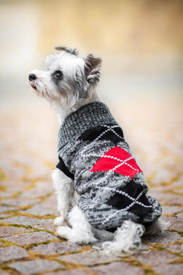Vsepropejska Squere svetr pro psa Barva: Šedá