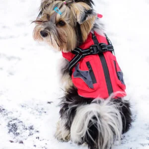 Vsepropejska Tandor zimní bunda pro psa s postrojem Barva: Červená