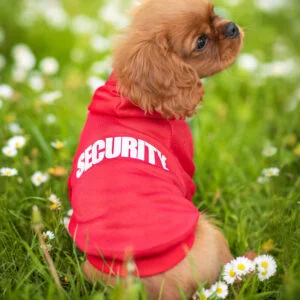 Vsepropejska Zagi sportovní mikina pro psa Barva: Červená