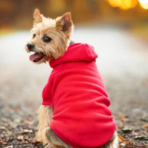 Vsepropejska Zigi červená mikina pro psa Barva: Červená