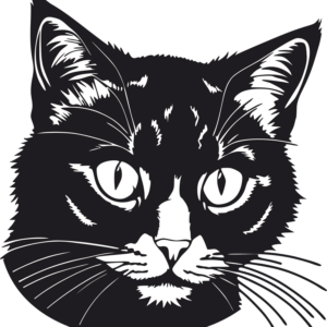 Vsepropejska 3D samolepka na zeď ze dřeva kočka 11 Rozměr (cm): 38 x 35