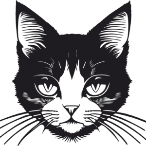 Vsepropejska 3D samolepka na zeď ze dřeva kočka 5 Rozměr (cm): 38 x 36