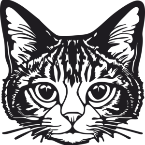 Vsepropejska 3D samolepka na zeď ze dřeva kočka 7 Rozměr (cm): 38 x 37