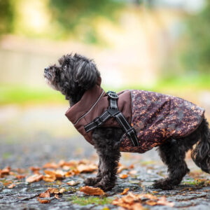 Vsepropejska Adon zimní bunda pro psa s postrojem Barva: Hnědá