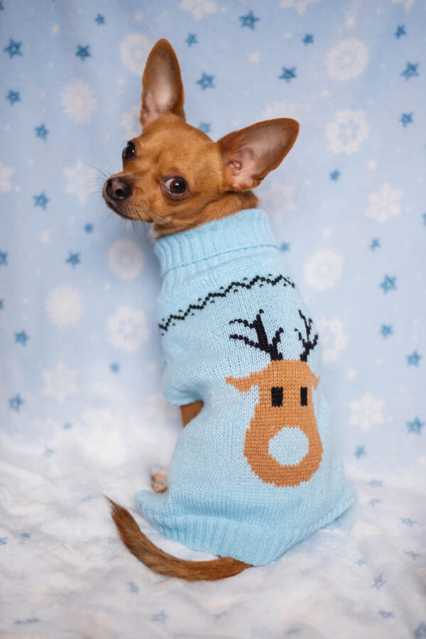 Vsepropejska Blixem vánoční svetr pro psa Barva: Modrá