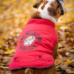 Vsepropejska Bulldog zimní bunda pro psa Barva: Červená