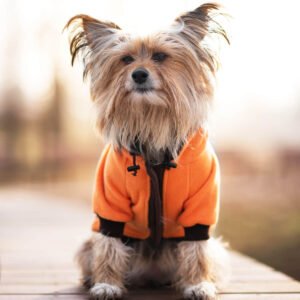 Vsepropejska Cool fleecová mikina pro psa s kapsičkou Barva: Oranžovo-hnědá