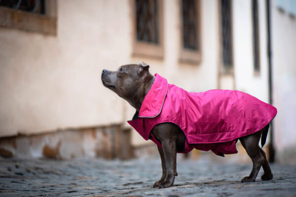 Vsepropejska Dasty bunda pro psa s reflexními prvky Barva: Vínová