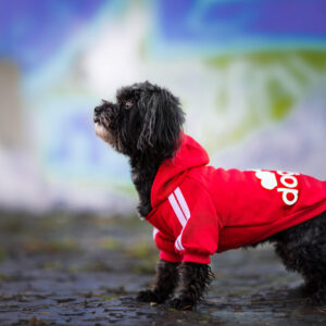Vsepropejska DogBaby bavlněná mikina pro psa Barva: Červená