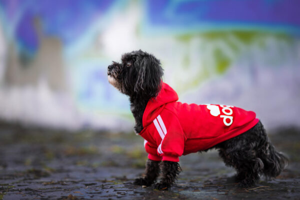 Vsepropejska DogBaby bavlněná mikina pro psa Barva: Červená