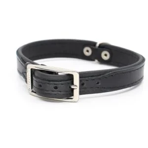 Vsepropejska Leather kožený obojek pro psa | 19 - 53 cm Barva: Černá