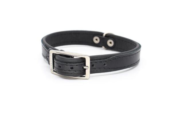 Vsepropejska Leather kožený obojek pro psa | 19 - 53 cm Barva: Černá