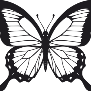 Vsepropejska Motýl dekorace na zeď 5 Rozměr (cm): 38 x 32