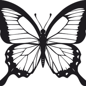 Vsepropejska Motýl dekorace na zeď 5 Rozměr (cm): 38 x 32