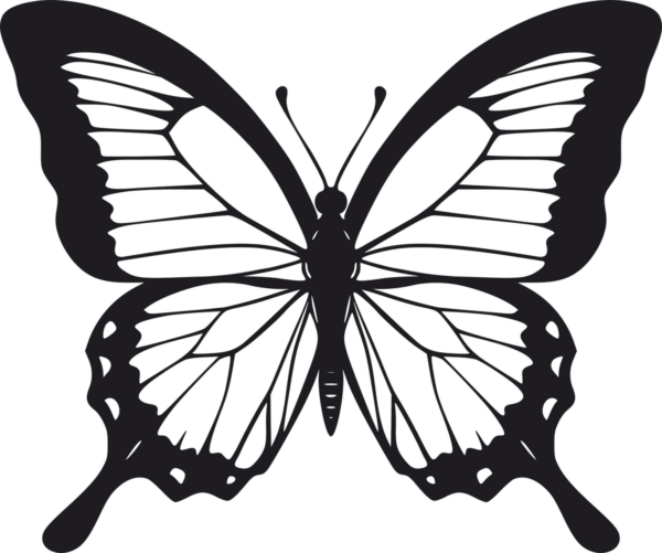 Vsepropejska Motýl dekorace na zeď 5 Rozměr (cm): 38 x 32