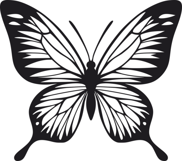 Vsepropejska Motýl dekorace na zeď 7 Rozměr (cm): 38 x 34
