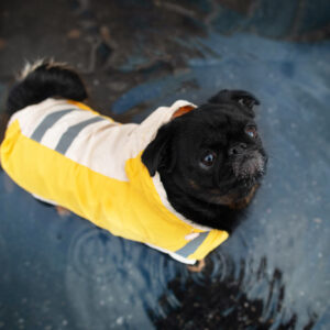 Vsepropejska Roy reflexní pláštěnka pro psa Barva: Žlutá