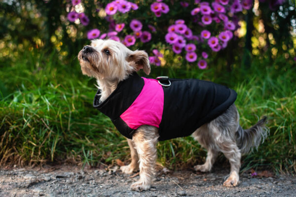 Vsepropejska Slim-rainy obleček pro psa na zip Barva: Černo-růžová