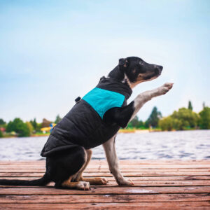 Vsepropejska Slim-rainy obleček pro psa na zip Barva: Černo-modrá