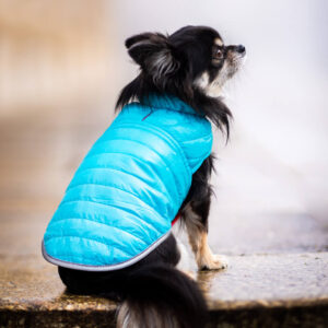 Vsepropejska Sonda oboustranná bunda pro psa Barva: Modrá