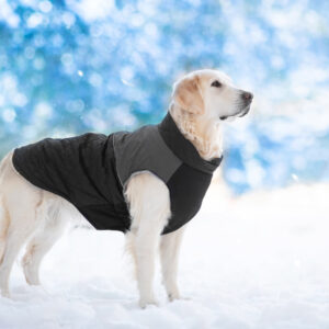 Vsepropejska Terenc obleček pro psa na zip Barva: Černá