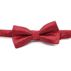 Vsepropejska Wilson motýlek pro psa | 25 - 42 cm Barva: Vínová