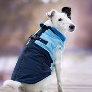 Vsepropejska Aston obleček pro psa na zip Barva: Modrá