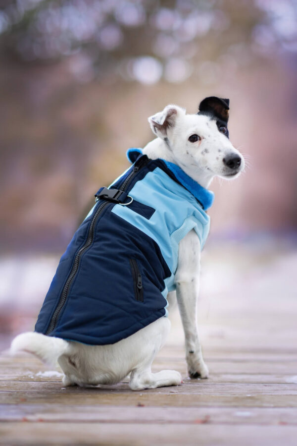 Vsepropejska Aston obleček pro psa na zip Barva: Modrá