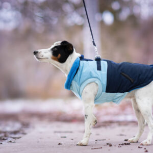 Vsepropejska Aston obleček pro psa na zip Barva: Modrá