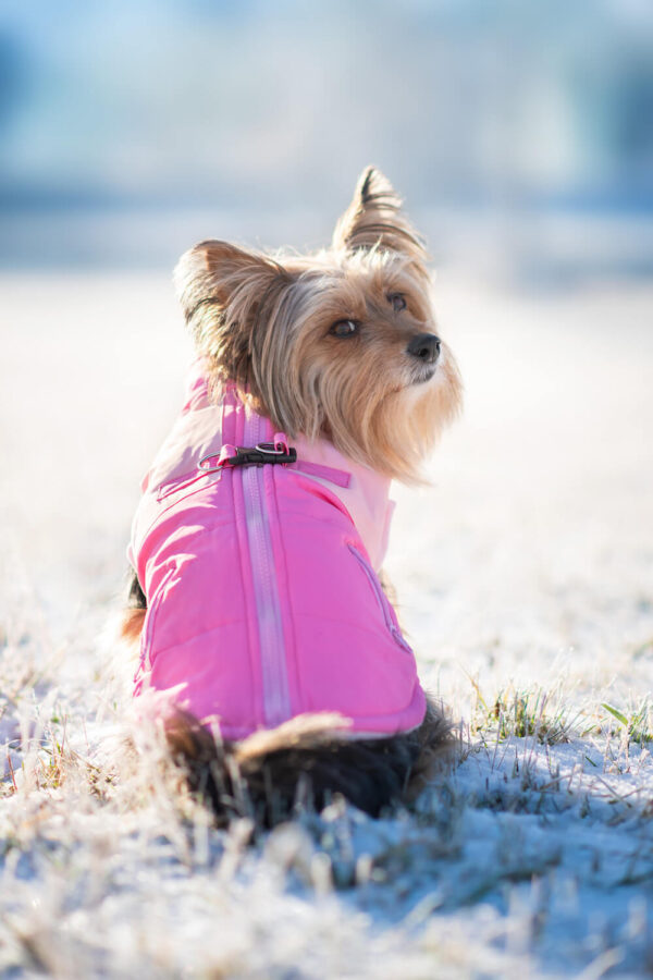 Vsepropejska Aston obleček pro psa na zip Barva: Růžová