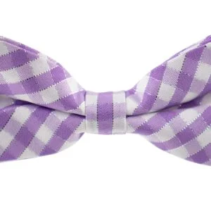 Vsepropejska Britain fialový károvaný motýlek pro psa | 21 - 42 cm Barva: Fialová