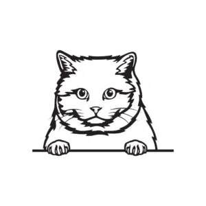 Vsepropejska Britská krátkosrstá kočka dřevěná dekorace na zeď Rozměr (cm): 38 x 28