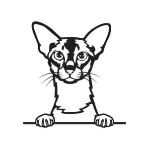 Vsepropejska Colorpoint krátkosrstá kočka dřevěná dekorace na zeď Rozměr (cm): 38 x 36