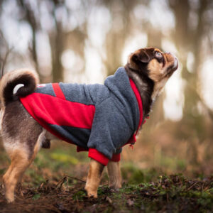 Vsepropejska Cool fleecová mikina pro psa s kapsičkou Barva: Šedo-červená