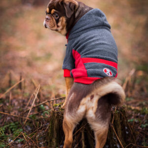 Vsepropejska Cool fleecová mikina pro psa s kapsičkou Barva: Šedo-červená