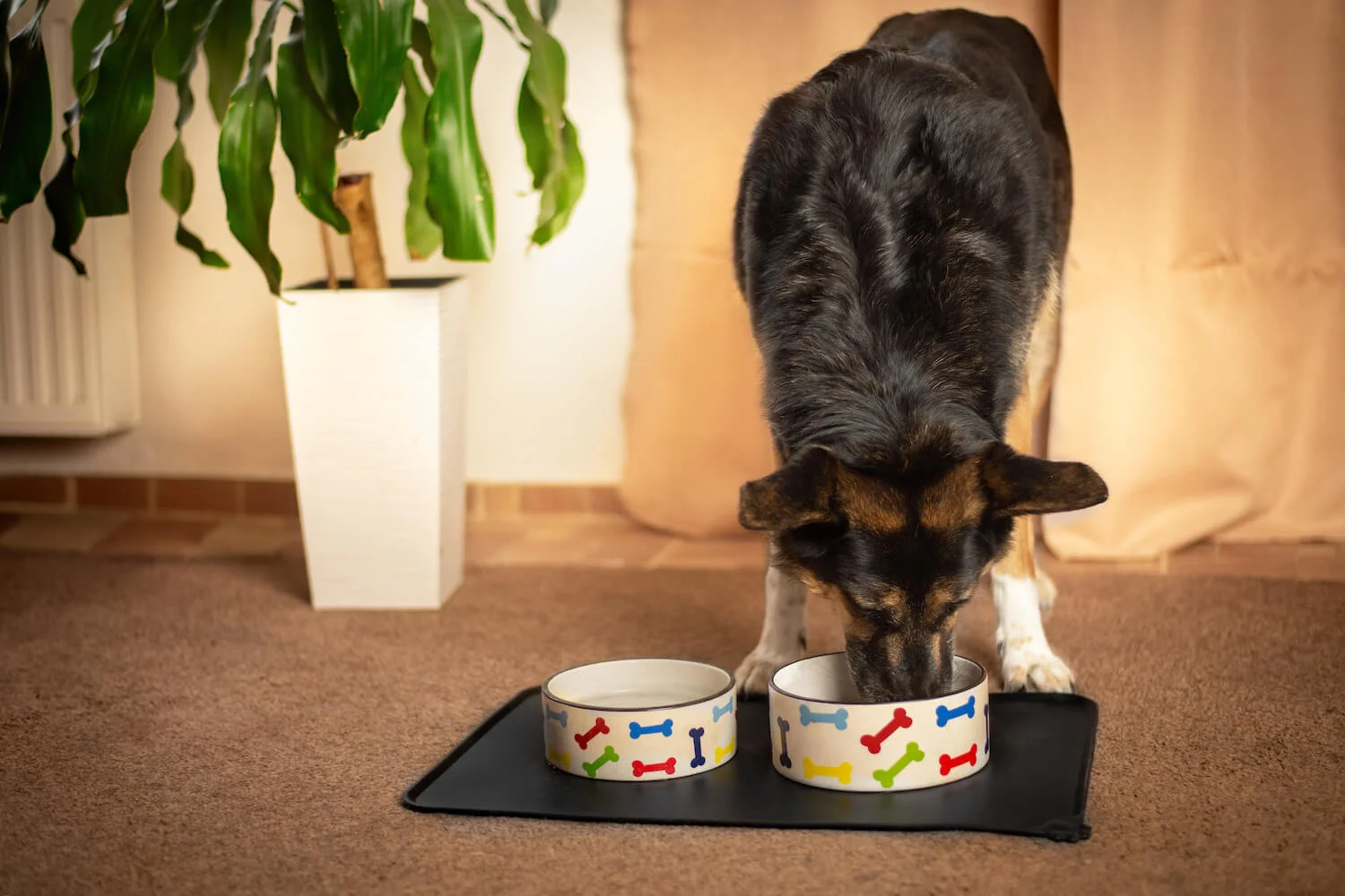 Rozměr (cm): 53 x 37