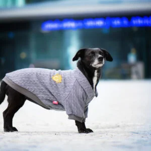 Vsepropejska Liči zateplený svetr pro psa Barva: Šedá