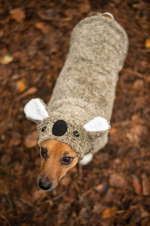 Vsepropejska Molly fleecová mikina pro psa s ušima Barva: Hnědá
