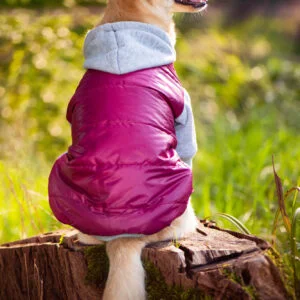 Vsepropejska Tabs bunda pro psa Barva: Růžová
